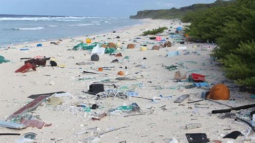 Plastic on beaches | environmental science